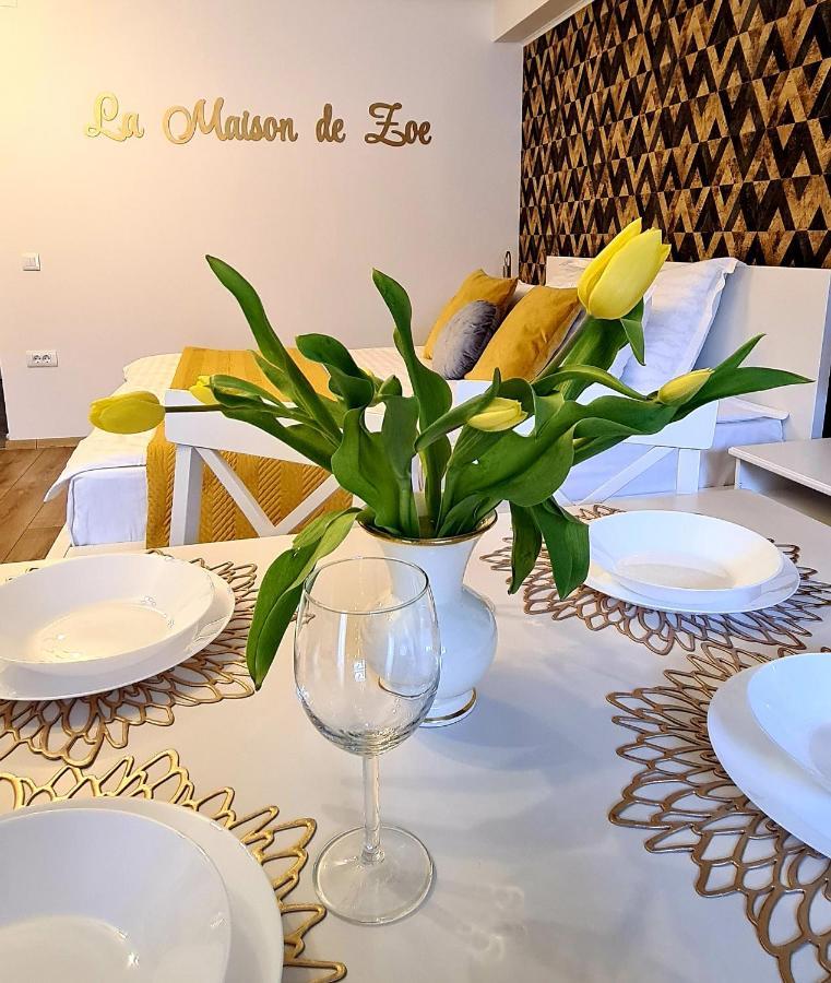 La Maison De Zoe - Airport Residences Otopeni Eksteriør bilde